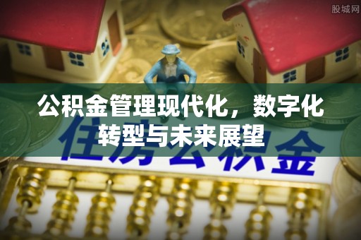 官田公积金管理现代化，数字化转型与未来展望