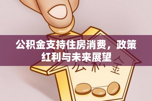 官田公积金支持住房消费，政策红利与未来展望